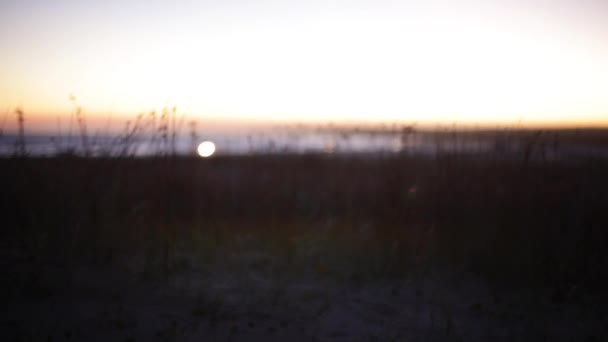 Playa tranquila en el crepúsculo — Vídeo de stock