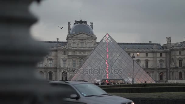 Vogel vlucht in de buurt van het Louvre — Stockvideo