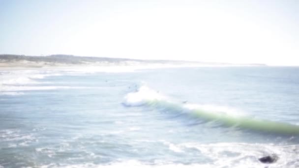 Surfistas en el océano, deportes acuáticos — Vídeo de stock