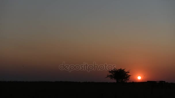 Západ slunce nad Ibera mokřadů v Argentině — Stock video