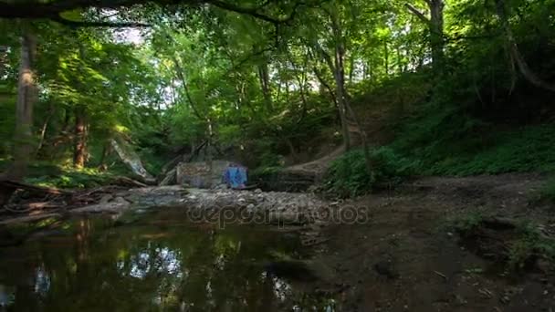 Cours d'eau dans les bois avec mur graffiti — Video