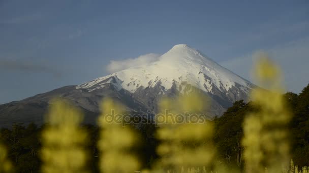 Volcán en los Andes chilenos — Vídeo de stock