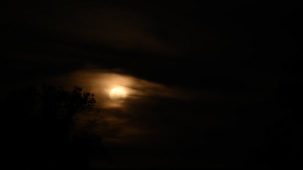 Lune se levant derrière un lourd voile de nuages — Video