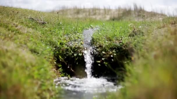 Bach fließt über Gras — Stockvideo