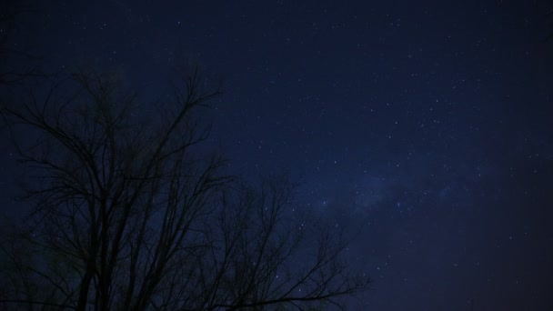 Gece gökyüzünde yıldız dolu — Stok video