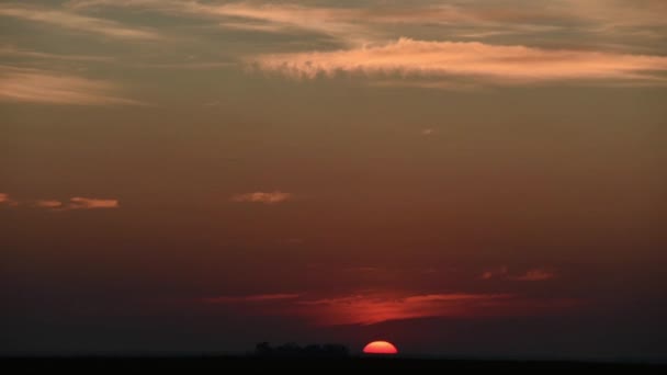 El sol se pone detrás de un árbol solitario — Vídeo de stock