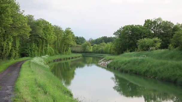 Floden slingrar sig genom lugna landsbygden — Stockvideo
