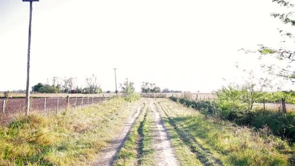 Спокойная сельская сцена — стоковое видео