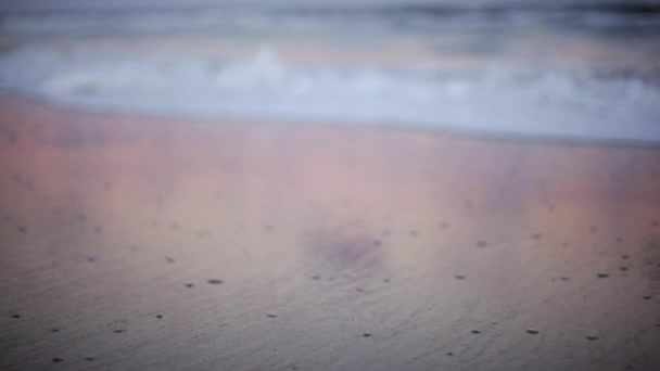 海滩上的冲浪的特写镜头 — 图库视频影像