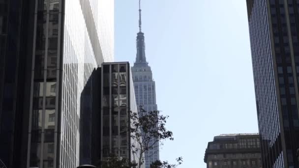 Empire State Building — Stock video