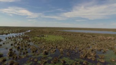 Ibera sulak, Corrientes Eyaleti, Arjantin