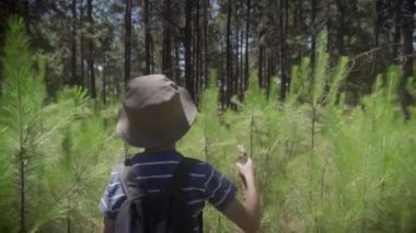 Çocuk ormanda hiking