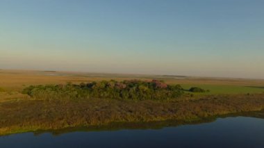 Ibera sulak, Corrientes Eyaleti, Arjantin