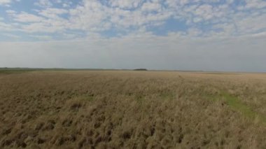   Ibera sulak, Corrientes Eyaleti, Arjantin