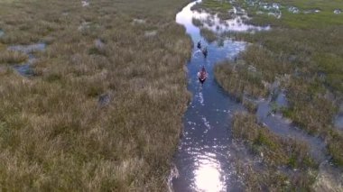 Ibera sulak, Corrientes Eyaleti, Arjantin