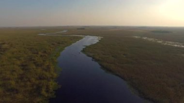 Ibera sulak, Corrientes Eyaleti, Arjantin
