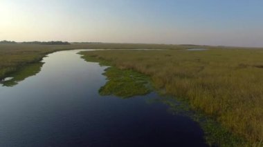  Ibera sulak, Corrientes Eyaleti, Arjantin