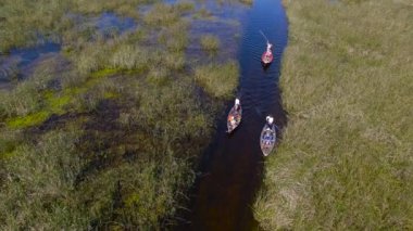 Ibera sulak, Corrientes Eyaleti, Arjantin