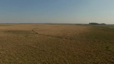   Ibera sulak, Corrientes Eyaleti, Arjantin