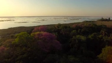  Ibera sulak, Corrientes Eyaleti, Arjantin