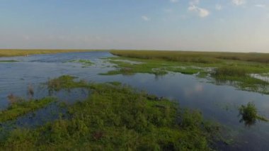 Ibera sulak, Corrientes Eyaleti, Arjantin