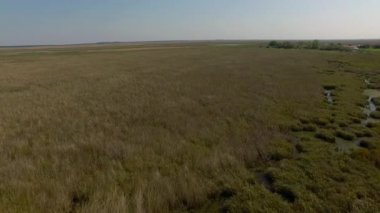   Ibera sulak, Corrientes Eyaleti, Arjantin
