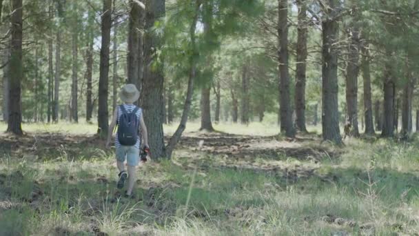 Boy exploring in woods with binoculars — Stock Video