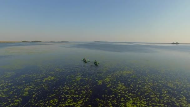 沼泽湿地，阿根廷科连特斯省 — 图库视频影像