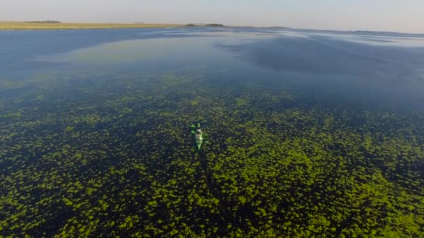 Lago en Humedales Ibera, Provincia de Corrientes, Argentina — Vídeo de stock