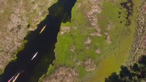Ibera Wetlands, Provincia Corrientes, Argentina — Videoclip de stoc