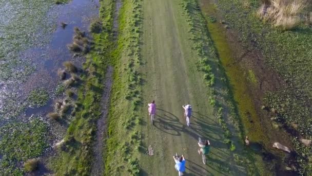 Ibera vizes élőhelyek, tartomány Corrientes, Argentína — Stock videók