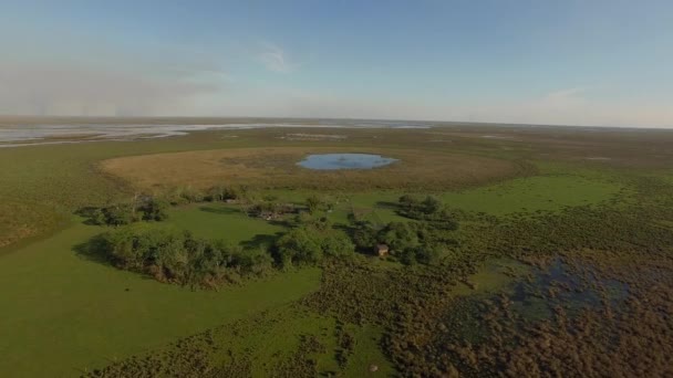 Ibera feuchtgebiete, provinz corrientes, argentinien — Stockvideo