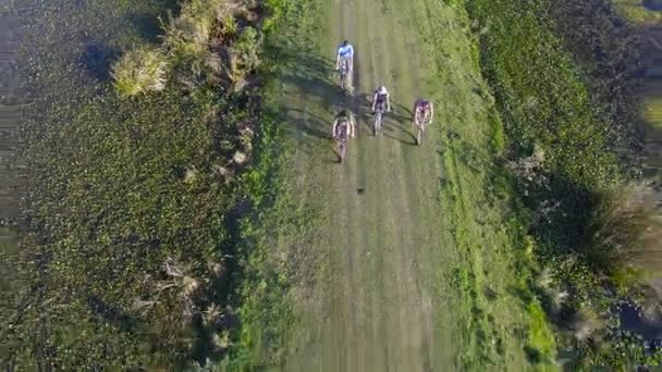 Ciclistas andando na estrada de terra através de zonas húmidas — Vídeo de Stock