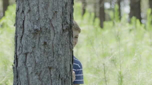 Boy peeking around tree trunk — Stock Video