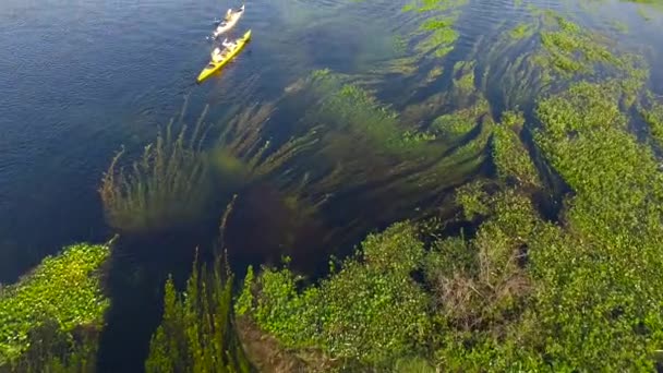 Ibera Wetlands, provincia di Corrientes, Argentina — Video Stock