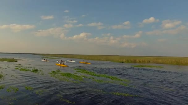 Ibera 습지, Corrientes 지방, 아르헨티나 — 비디오