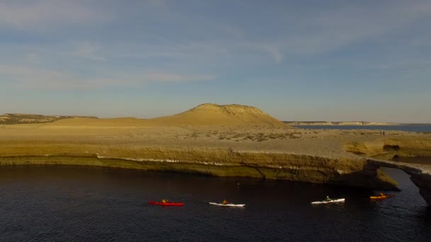 Valdes Yarımadası, Chubut Eyaleti, Arjantin — Stok video