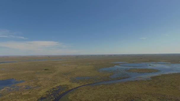 Ibera vizes élőhelyek, tartomány Corrientes, Argentína — Stock videók