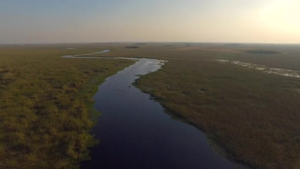 Zones humides d'Ibera, Province de Corrientes, Argentine — Video