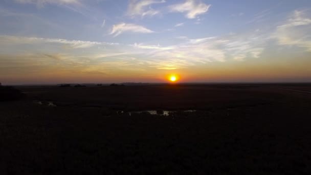 Ibera υγρότοποι, Επαρχία Corrientes, Αργεντινή — Αρχείο Βίντεο