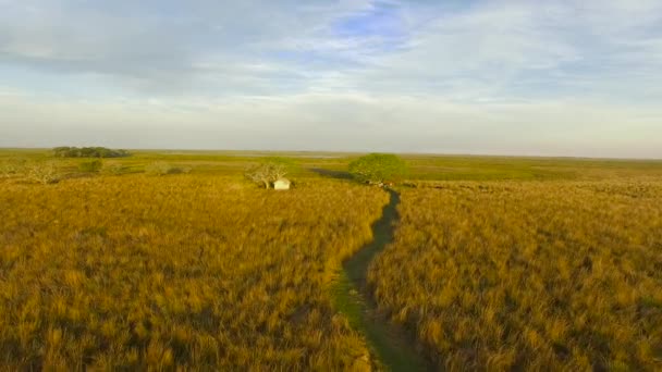 Zones humides d'Ibera, Province de Corrientes, Argentine 