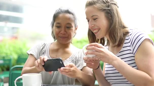 Mulheres olhando para smartphone multimídia — Vídeo de Stock