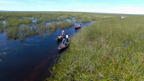 Ibera Wetlands, Província de Corrientes, Argentina — Vídeo de Stock