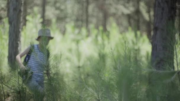 Pojke exlporing i skogen med kikaren — Stockvideo