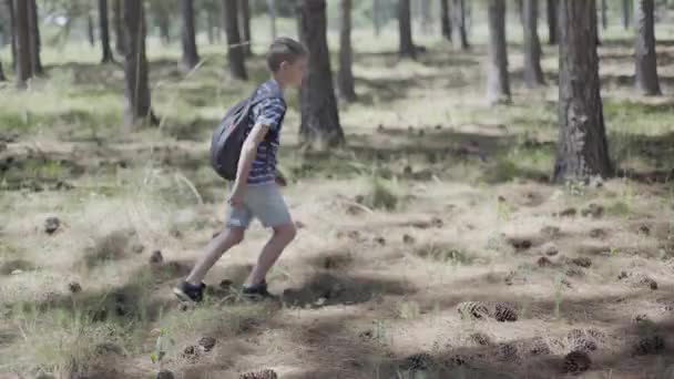 Мальчик бегает по лесу — стоковое видео