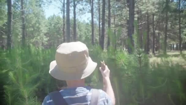 Boy hiking in woods — Stock Video