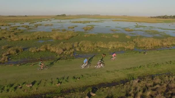 Ibera Wetlands, Corrientes Province, Argentina — Stock Video