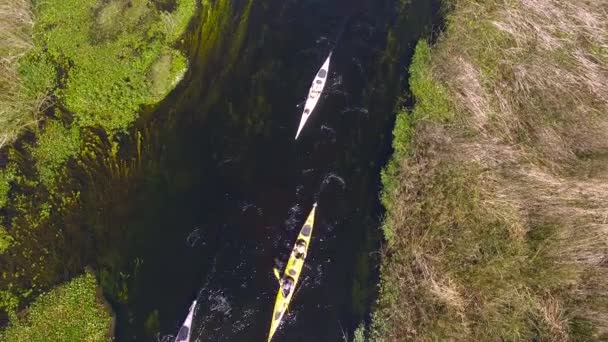 Humedales Ibera, Provincia de Corrientes, Argentina — Vídeo de stock