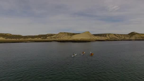 Valdes Yarımadası, Chubut Eyaleti, Arjantin — Stok video