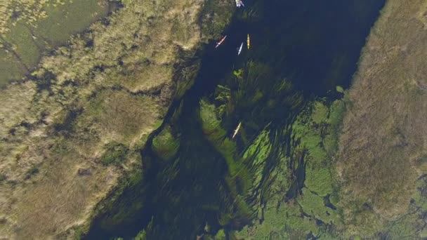 Zones humides d'Ibera, Province de Corrientes, Argentine 